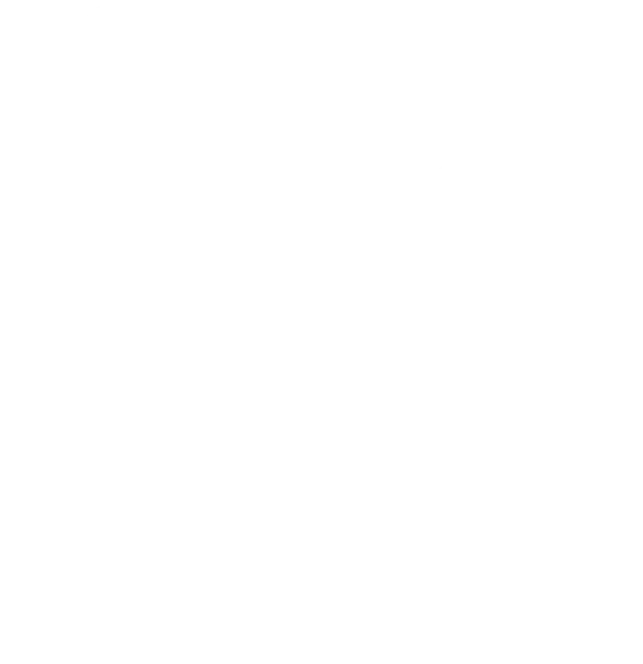 Dujo Service - Gabelstapler reparatur wartung -Symbol